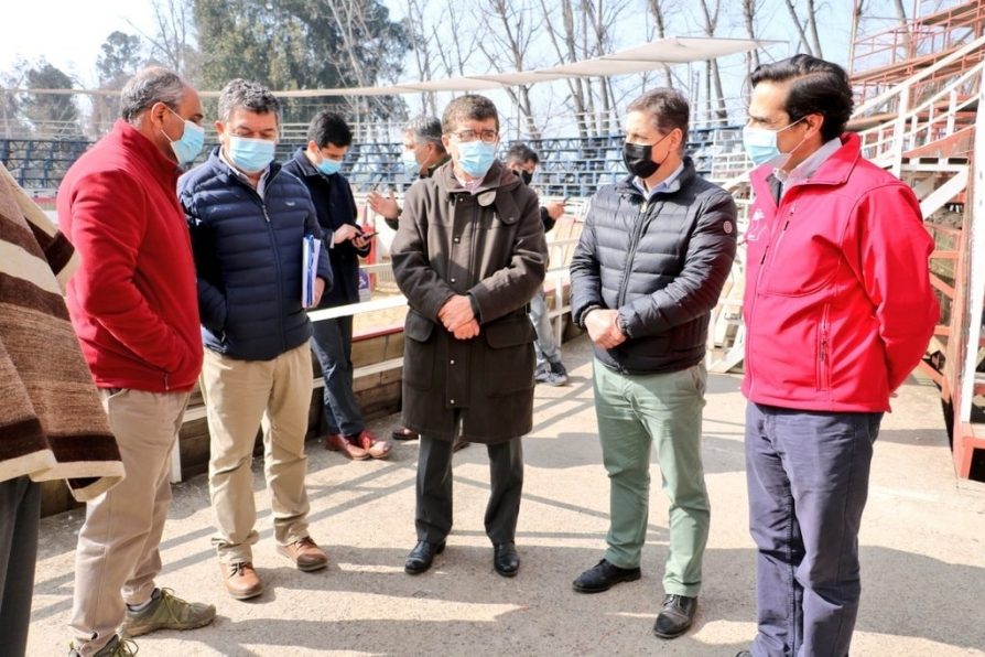 Rodeo de Colchagua se prepara para realizar Clasificatorio de Repechaje de San Fernando