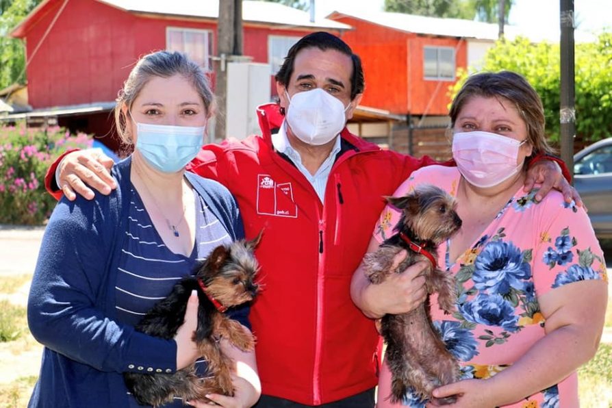 Ley “Cholito”: Delegación Presidencial de Colchagua realiza operativos veterinarios en la provincia