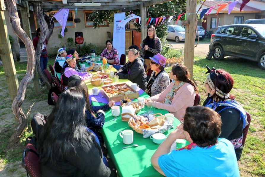 Delegada Presidencial de Colchagua conmemoró el Día de la Mujer Indígena