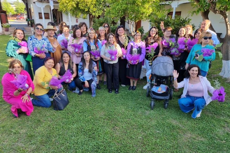 Mujeres de Colchagua se reunieron para erradicar la violencia contra la mujer