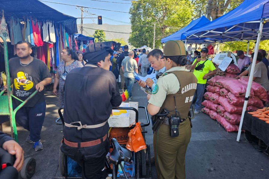 Fiscalización en Feria Libre de San Fernando logra decomisar cigarrillos de contrabando