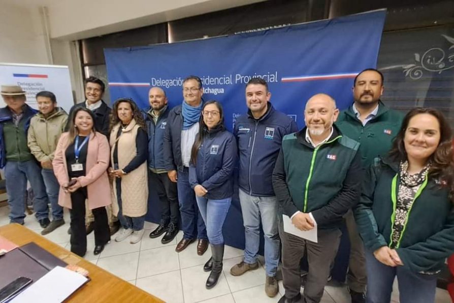 DPP Colchagua crea mesa de fomento de los arrieros de la provincia