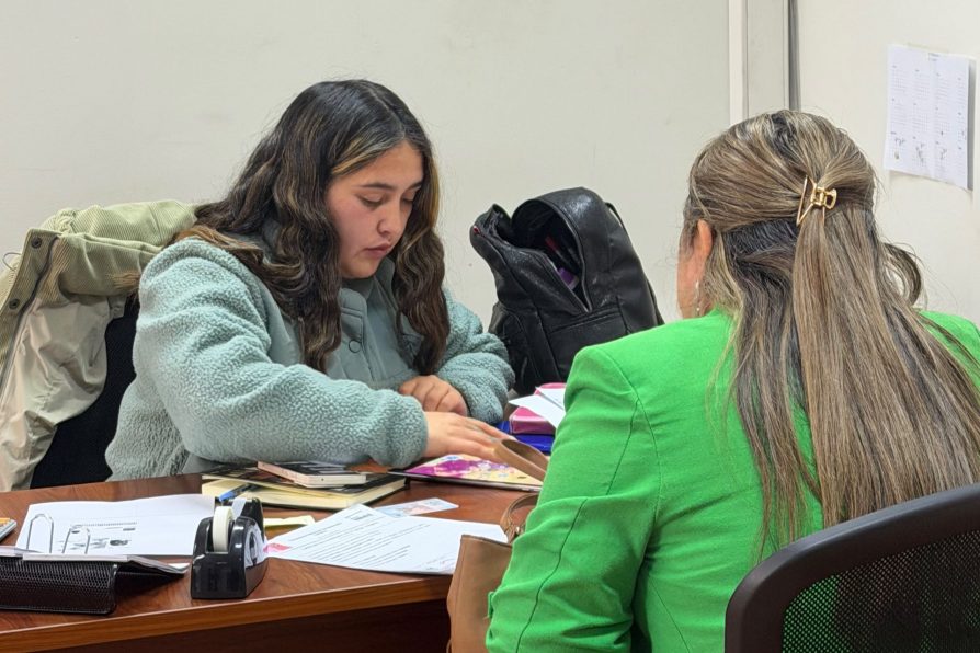Delegación Presidencial de Colchagua habilita atención presencial de CONADI en San Fernando